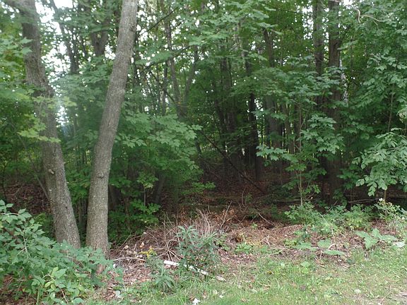 5th image of 9157 Elmwood Ct