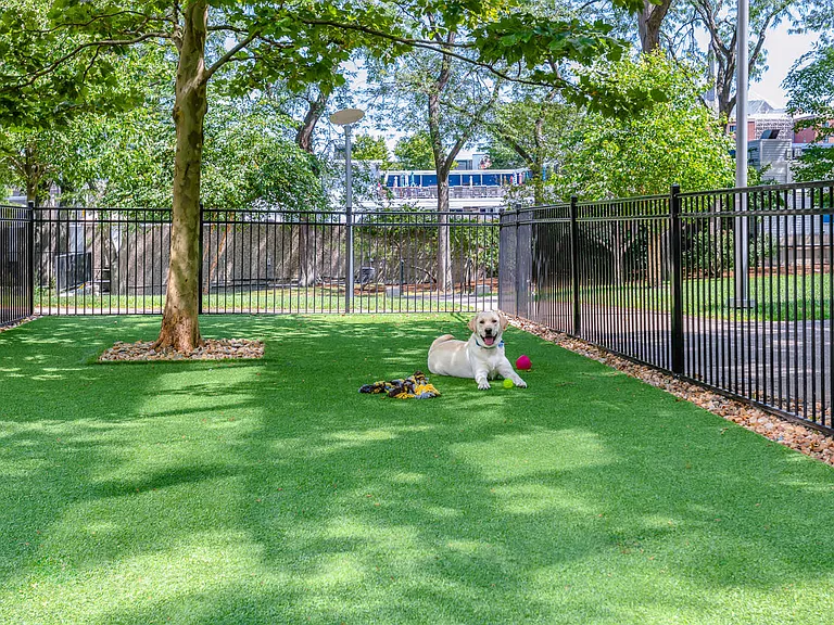 Enclosed On-site Dog Park