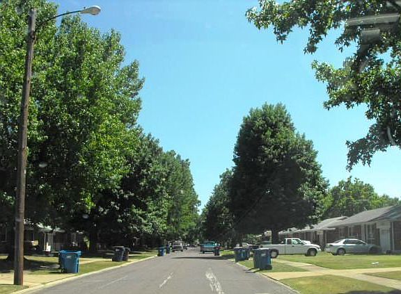 3rd image of 318 Rand Dr