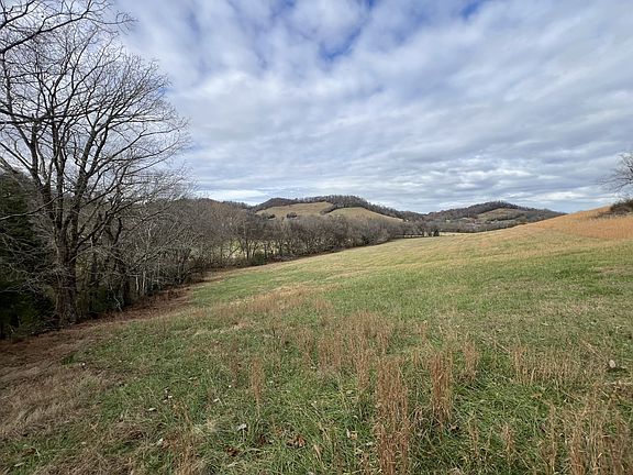 2nd image of 0 Highway 231 S Lot 1