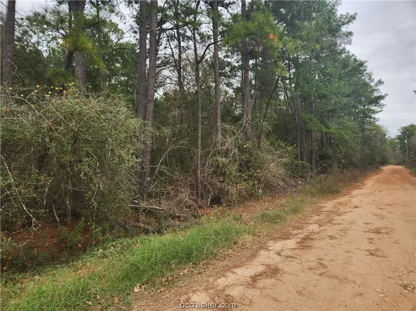 36 White Oak Dr, Plantersville, TX 77363