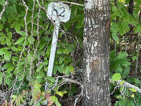 2nd image of 81A-82A Licklog Rdg