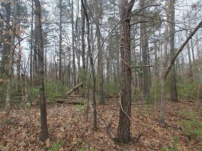 Sulphur Mine Rd, Charlottesville, VA, 22911