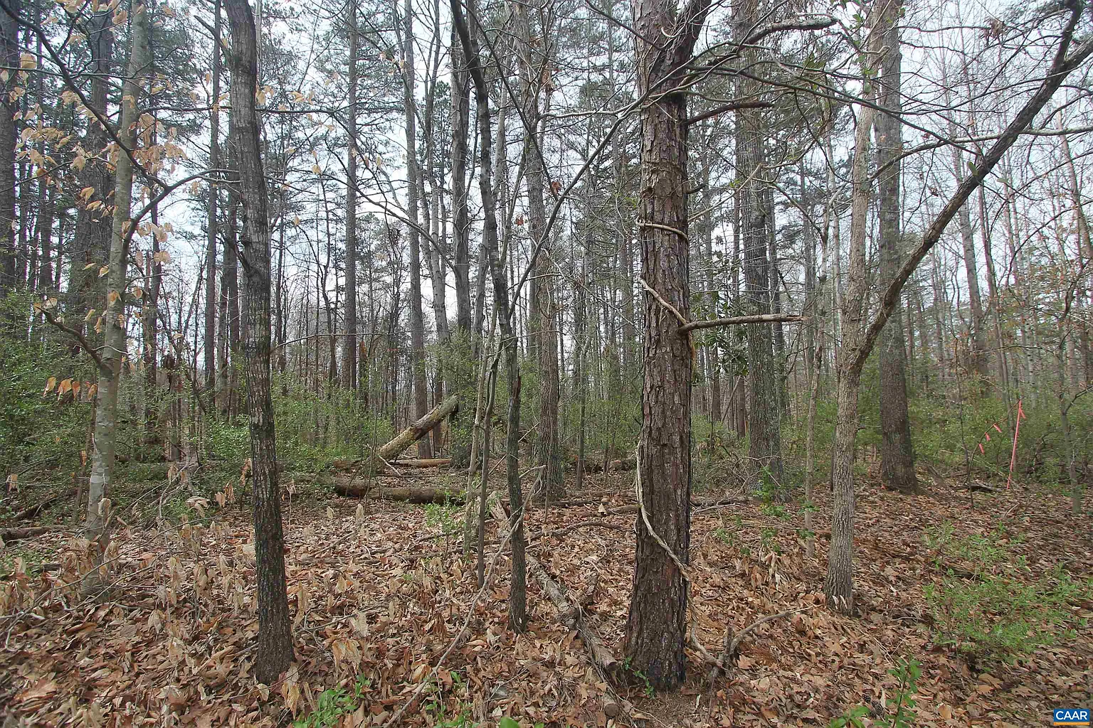 Sulphur Mine Rd photo 1