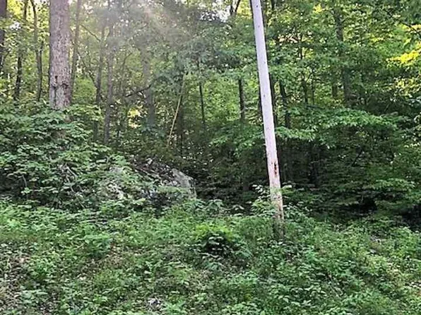 0 Barrow Ln, Stanardsville, VA 22973