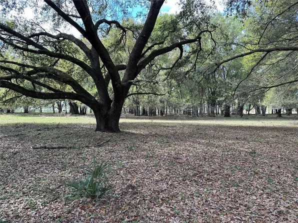 13568 Haynes Rd, Dover, FL 33527