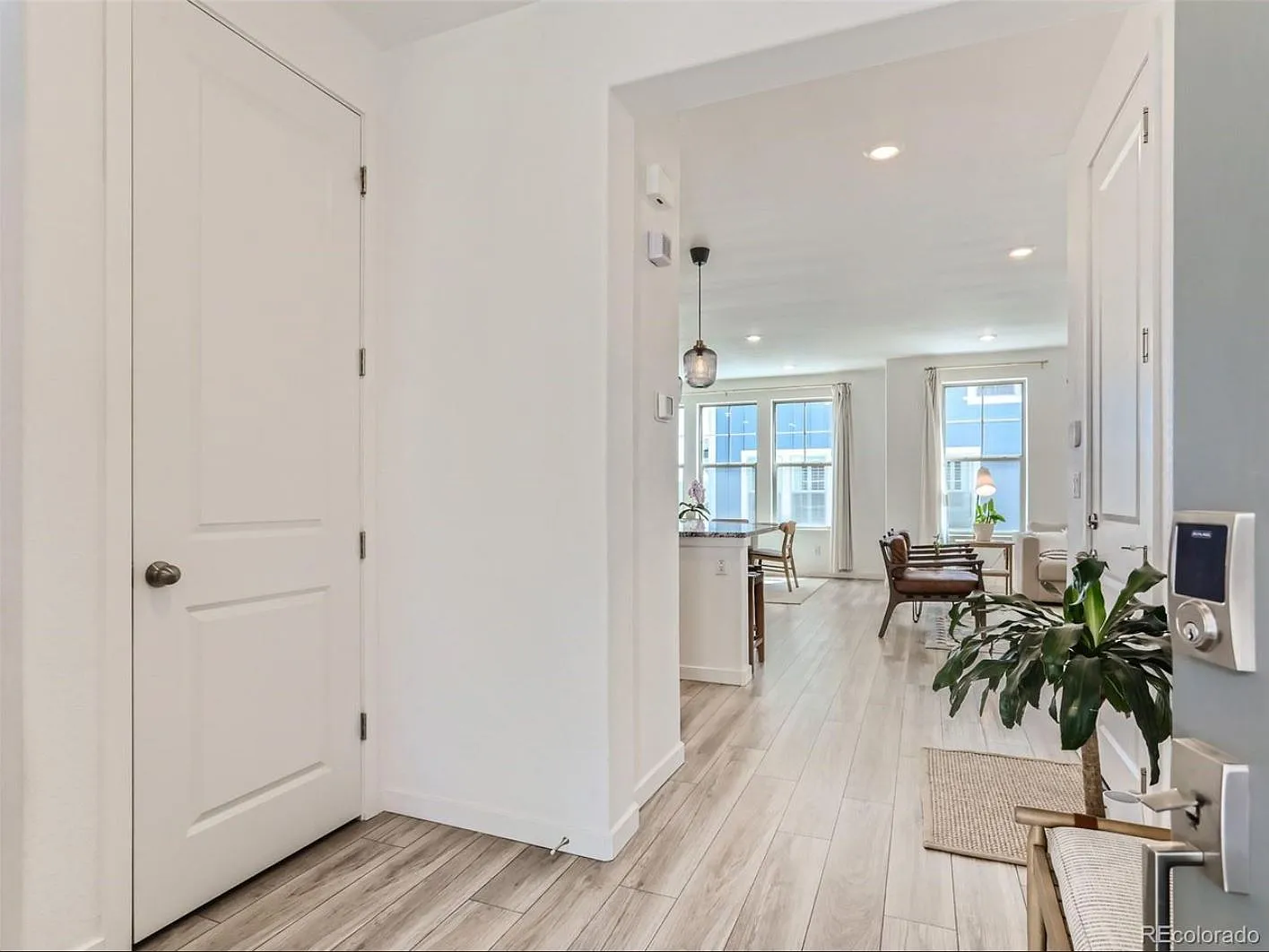 4 bed, 2367 sqft, $4,000 — Photo 3