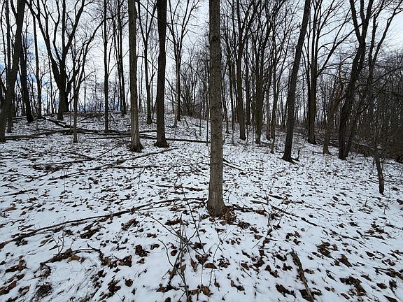 5th image of LOT 65 Hosford Dr