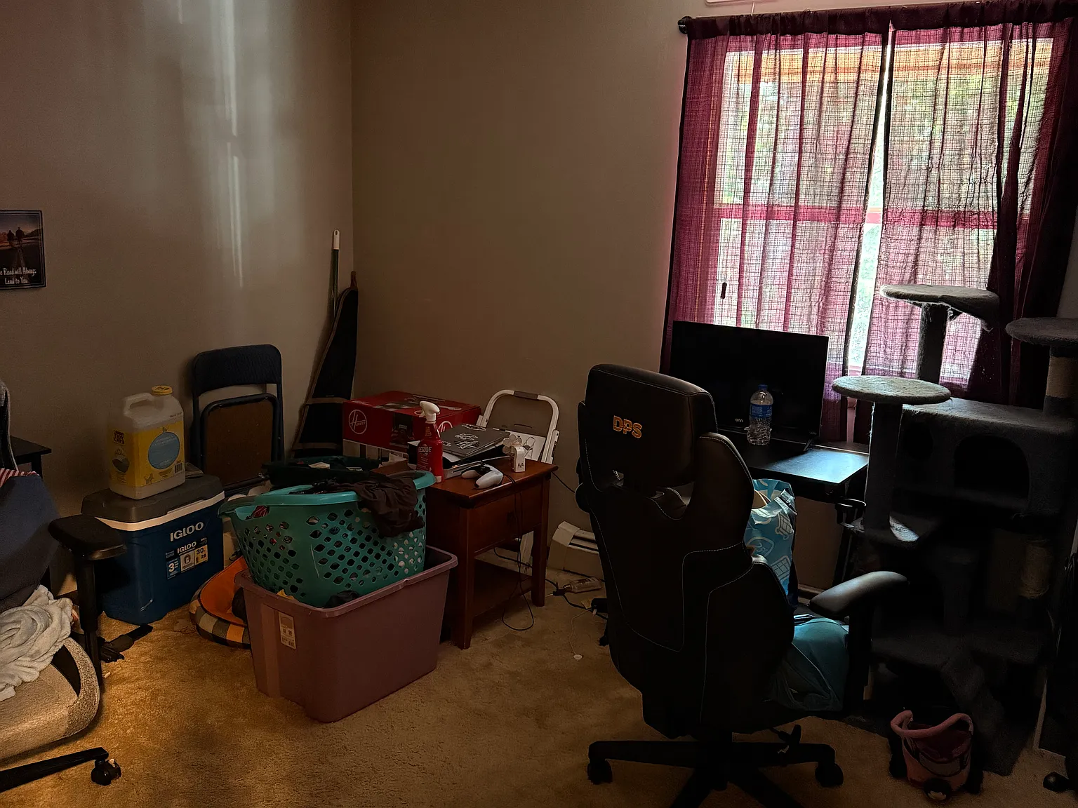 1 bed, $1,100 — Photo 2