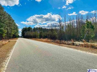 5 E Leitner St, Latta, SC 29565
