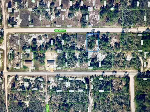 329 Blue Moon Ave Lot 8, Lake Placid, FL 33852