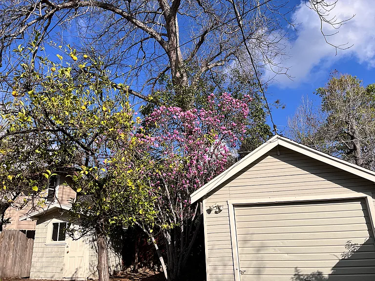 489 Miles St — Photo 31