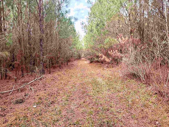 3rd image of 106.6 Acres-TBD Highway 52