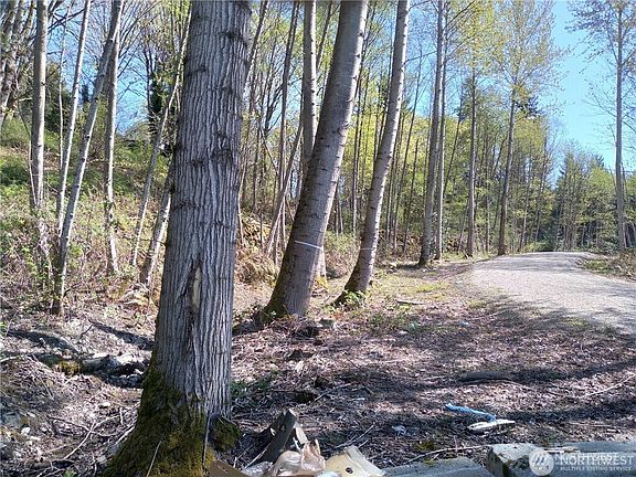 5th image of 10043 SE Carr Road