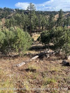 357 El Camino Dr, Alto, NM, 88312