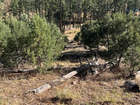 357 El Camino Dr, Alto, NM 88312
