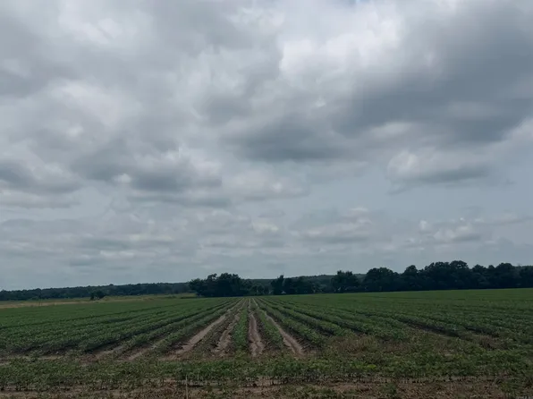Pineview Road Benson Ln, Trumann, AR 72472