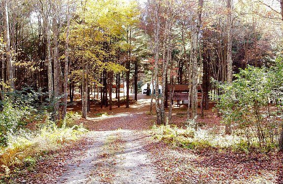Looking up 620' driveway
