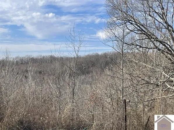 0 Poplar Creek Rd, Kuttawa, KY 42055