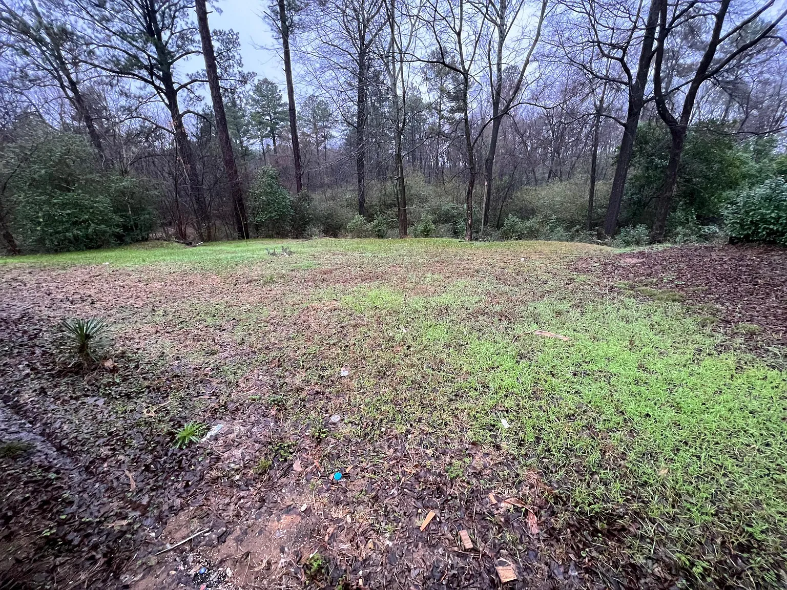 3 bed, 1233 sqft, $1,895 — Photo 3
