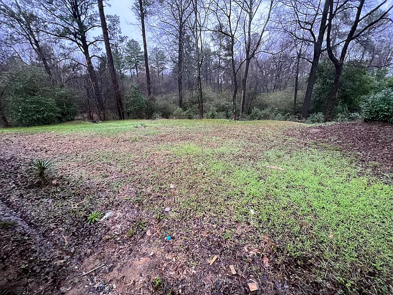 Back yard