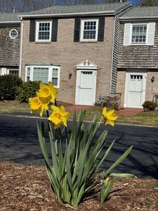 26 Captain Cook Ln #26, Barnstable, MA, 02630
