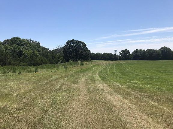 The north side of the 40+/- acre hay field.