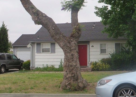 3rd image of 8811 Shoemaker Ave