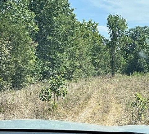 Private Rd. Mockingbird Ln