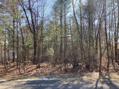 (Undisclosed Address), Big Rapids, MI, 49307