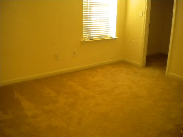 1041 Stoney Falls Blvd — Photo 9