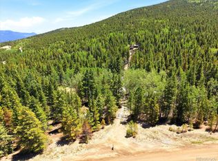 5940 Virginia Canyon Rd, Central City, CO 80427