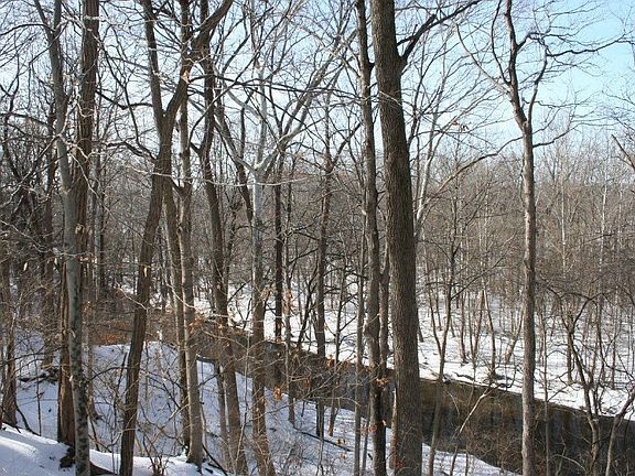 Rear View Of Eagle Creek