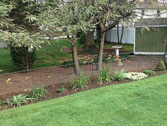 Back yard from deck