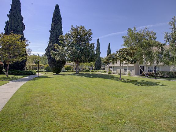 Lawn