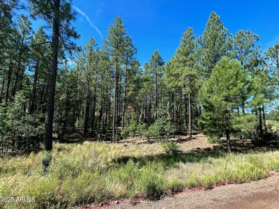 3680 W SAGE Lane #260, Show Low, AZ, 85901