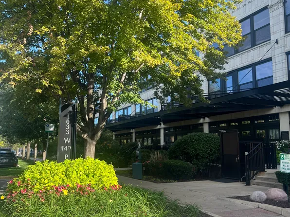 1033 W 14th Pl Unit 316, Chicago, IL 60608