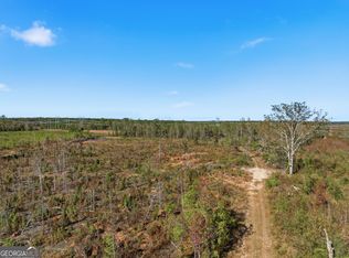 Heards Bridge Rd, Davisboro, GA 31018