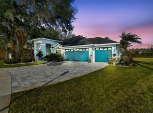 10022 Oxford Chapel Dr, Tampa, FL 33647