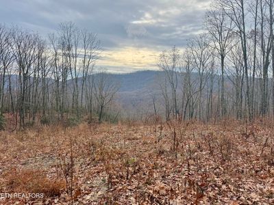 183 Persimmon Ln, Pioneer, TN, 37847