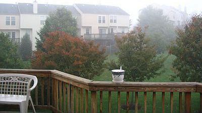 Back yard view on the Deck