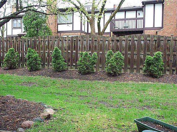 View from Patio