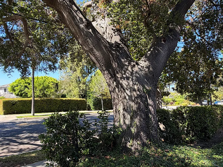 311 E Sierra Madre Blvd #B — Photo 15