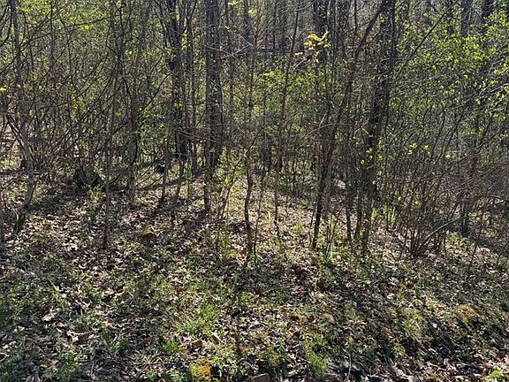 3rd image of Lot 16-N High Meadows Drive