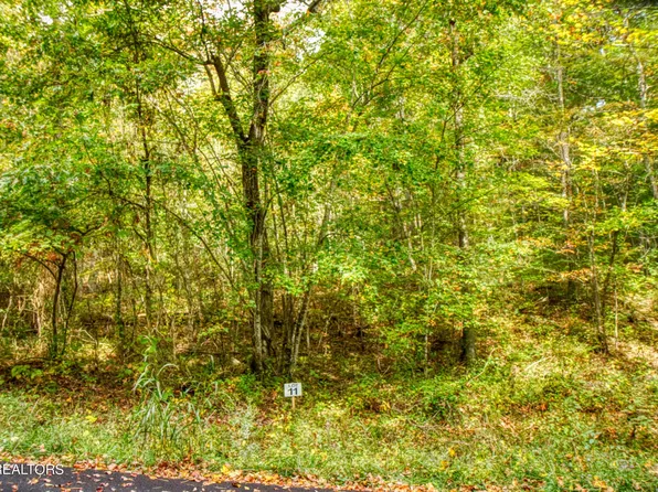 LOT 11 Old Mount Helen Rd, Allardt, TN 38504