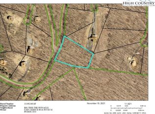 Tbd West Big Tree Rd, West Jefferson, NC 28694