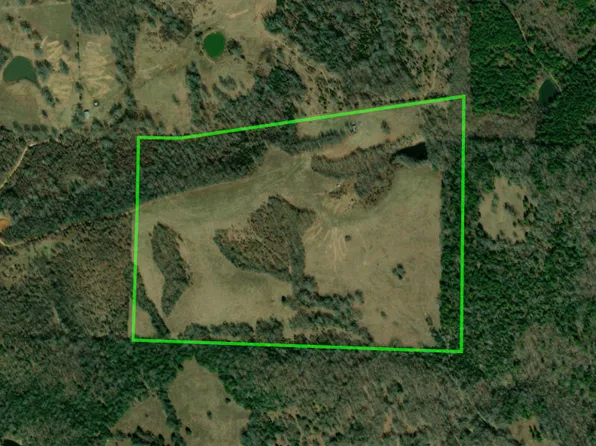 Cooper Holw, Mount Pleasant, AR 72561