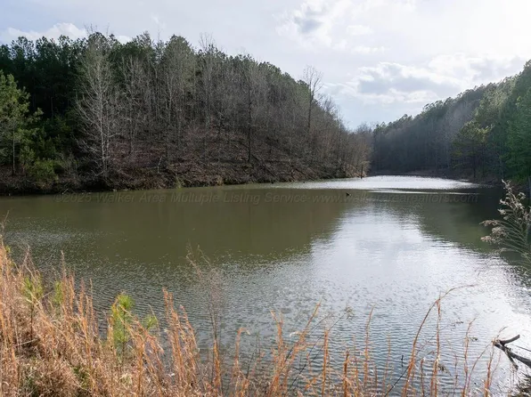 15201 County Road 63 N, Carbon Hill, AL 35549