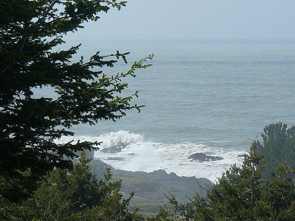  Blowhole from the lot