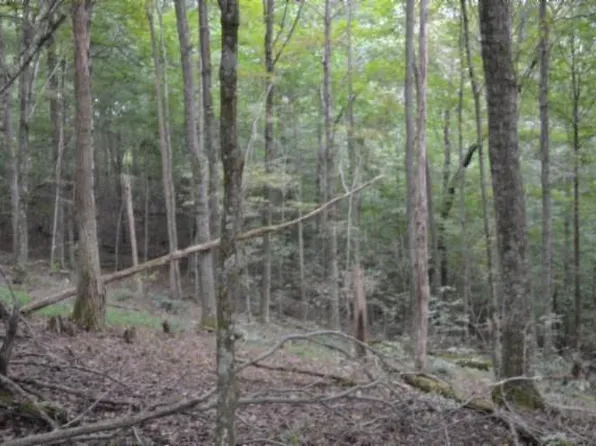 W Ln, Gainesboro, TN 38562